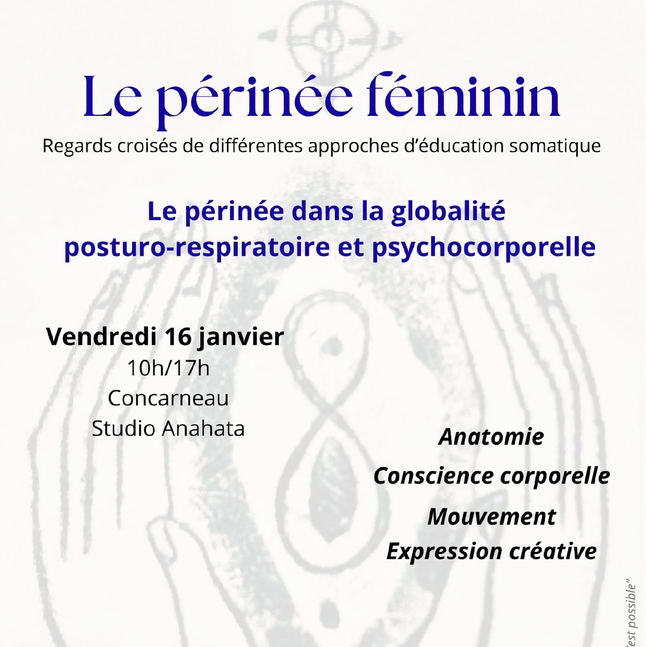 LE PÉRINÉE FÉMININ