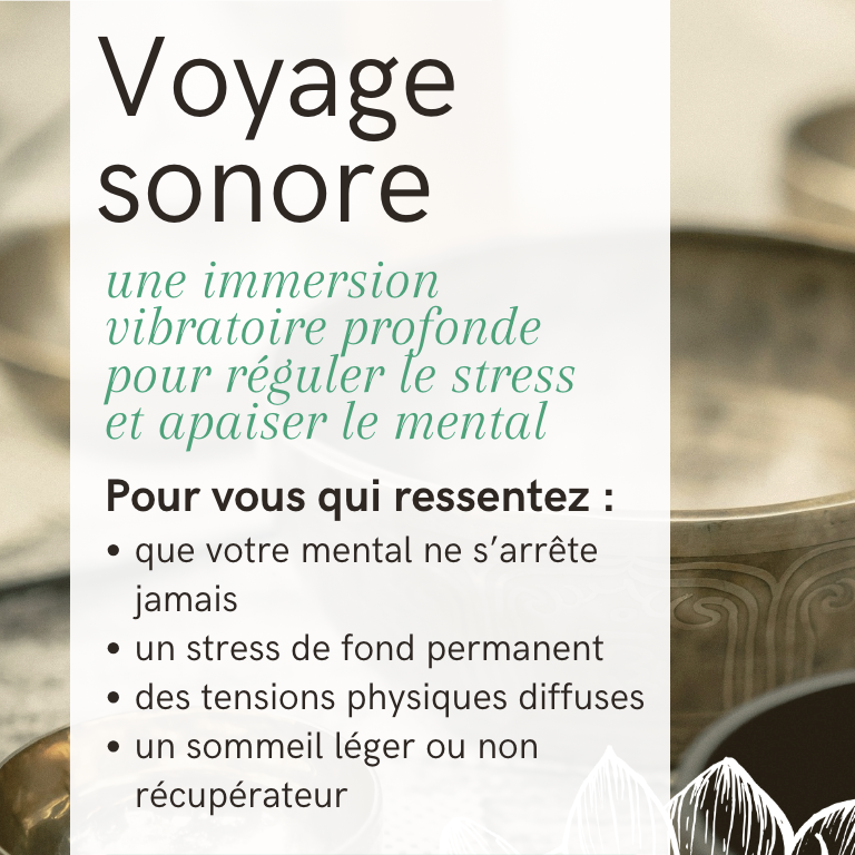 VOYAGE SONORE